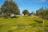 20061124-17.jpg