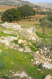 20061124-22.jpg