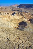 Negev desert