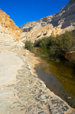 Ein Gedi