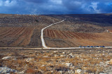 20061222-16.jpg