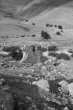 20061222-22.jpg