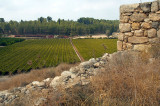 Tel Lachish