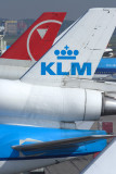 TAILS AMS RF IMG_2358.jpg