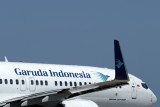 GARUDA INDONESIA BOEING 737 800 PER RF IMG_1834.jpg