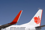 LION BOEING 737 900ER DPS RF IMG_1755.jpg