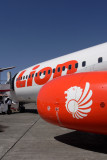 LION BOEING 737 900ER DPS RF IMG_1744.jpg