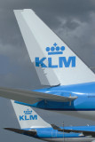 KLM TAILS AMS RF IMG_2856.jpg