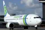 TRANSAVIA BOEING 737 800 AMS RF IMG_2864.jpg