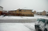 one day we had snow Picture 082.jpg