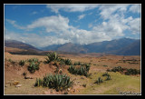 Peru246.jpg