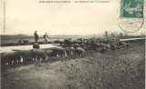 En 1905