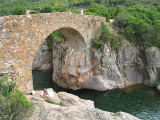 kalli0550w.jpg