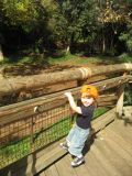 Dylan at the Wild Animal Park