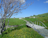 Southern Shore 008<br>Ferryland