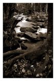 Alum Cave Trail Panatone 149c