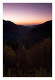 Near Newfound Gap