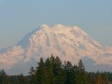 Fort Lewis, Washington