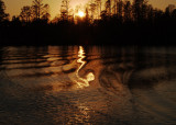 sun art on river - Katherine