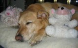 Loves her Toys