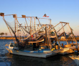 Shrimp Boats at Evening Tide