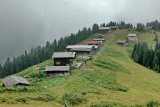 pokut