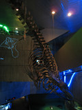 Baltimore Aquarium - Jurassic Park