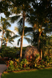Old Lahaina Luau - Garden