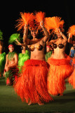 Old Lahaina Luau - Hula Girls