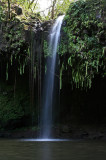 Road to Hana - Twin Waterfall