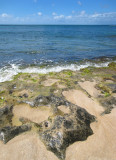 Laniakea Beach - Stone & Ocean