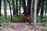 Visitors