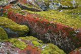 Red and Green Rocks