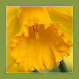 Springtime