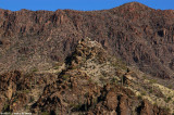 Cacti and Rocks 12759.jpg