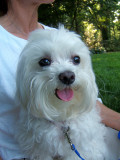  ~Sweet CUDDLES friend   Miss  Baylee~~