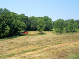  ~    HAY FIELD ~~