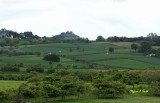 Crops and Pasture