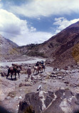 Yarkhun River