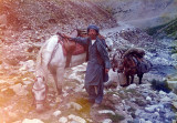 Shandur Pass