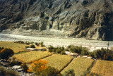 Fields by the River Indus