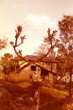 Kangra Valley - house