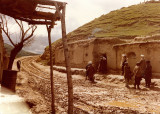 Turkestan roadside