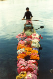 Flower chikara (boat)