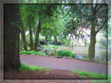 Golden Gate Park