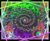 Spiral Nebula Garden