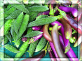 Eggplant and Bitter Mellon