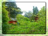 Japanese Tea Garden