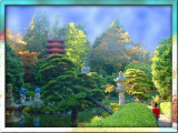 Japanese Tea Garden