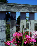 Greenbrae Boardwalk